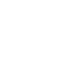 link to instagram for Mei Sum Dim Sum in Honolulu
